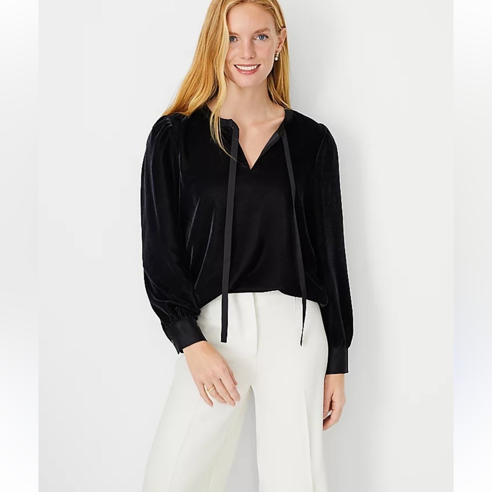 ANN TAYLOR VELVET BLOUSE